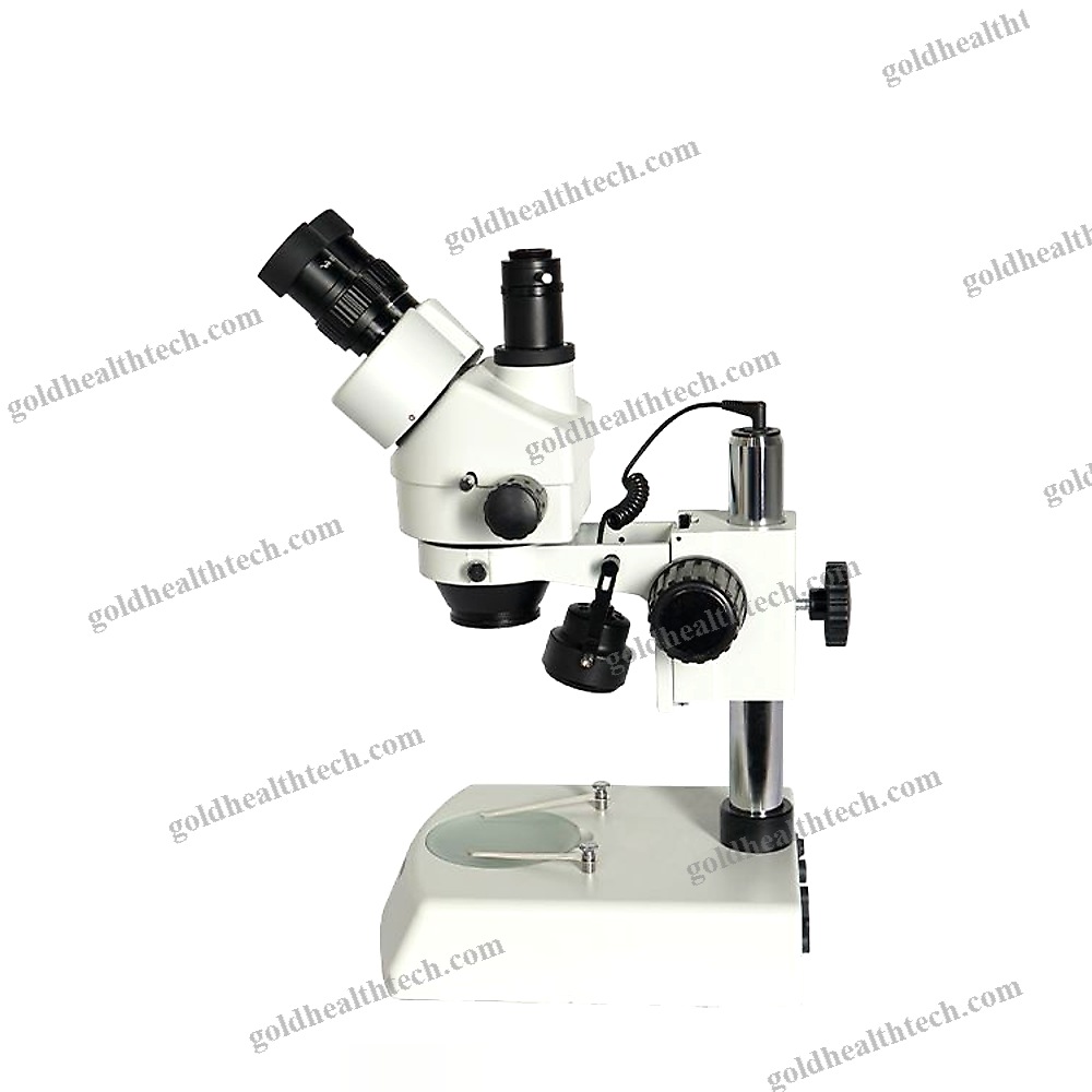 Dissection Stereo Microscope