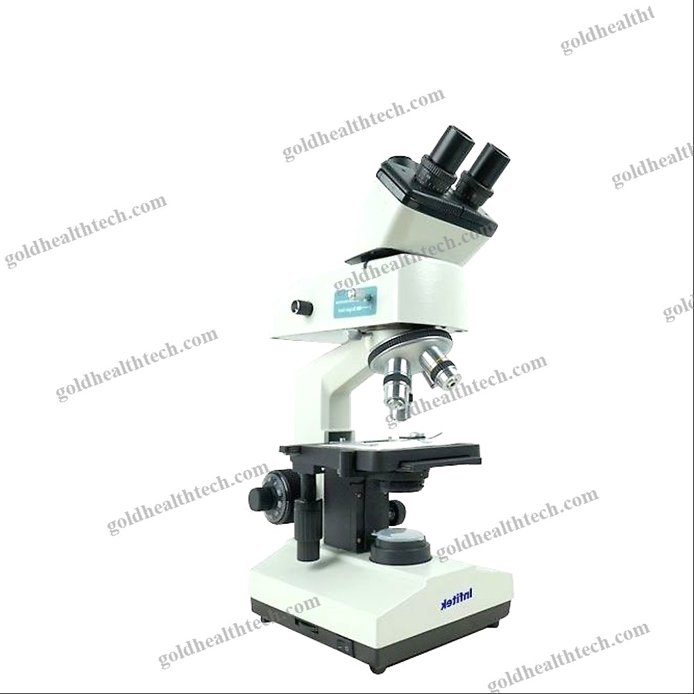 Fluorescence Microscope