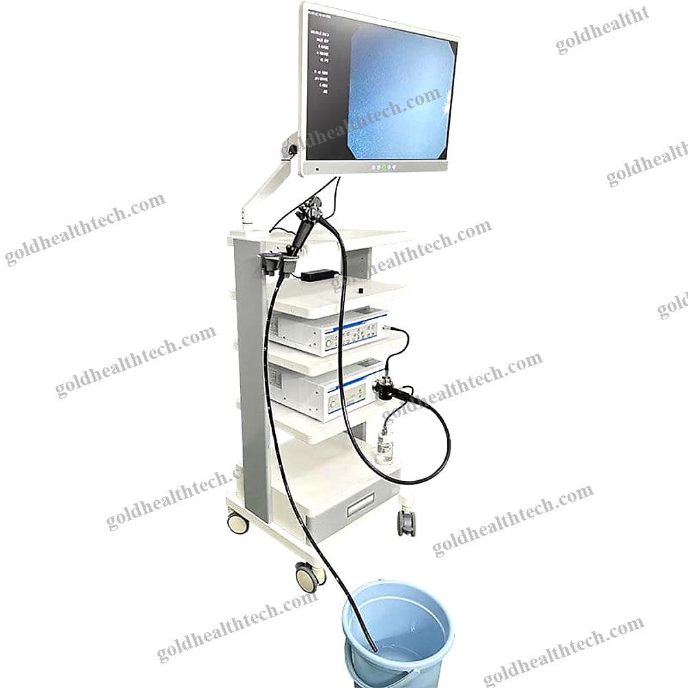 Gastroenterological Endoscopy Column