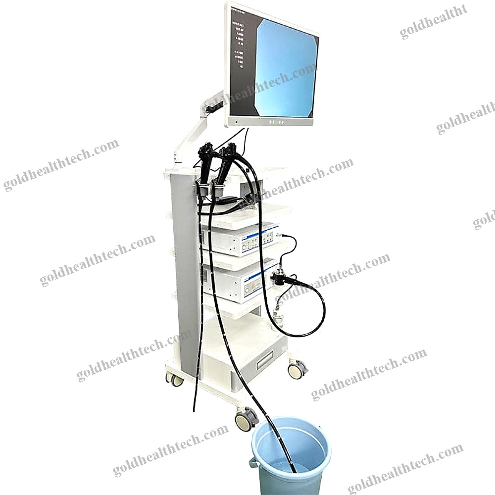 Gastroenterological Endoscopy Column
