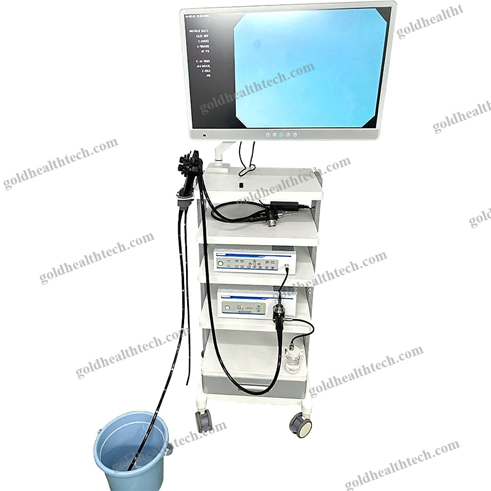 Gastroenterological Endoscopy Column