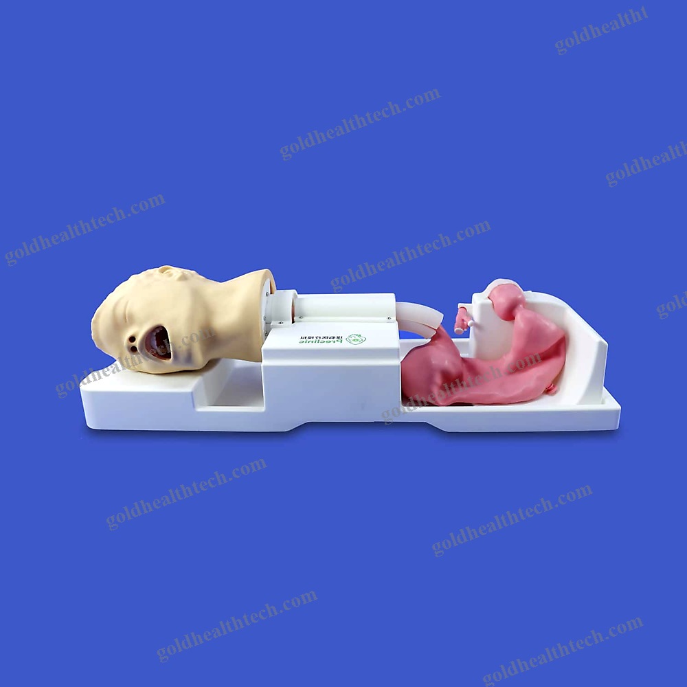 Digestive Endoscopy Simulator