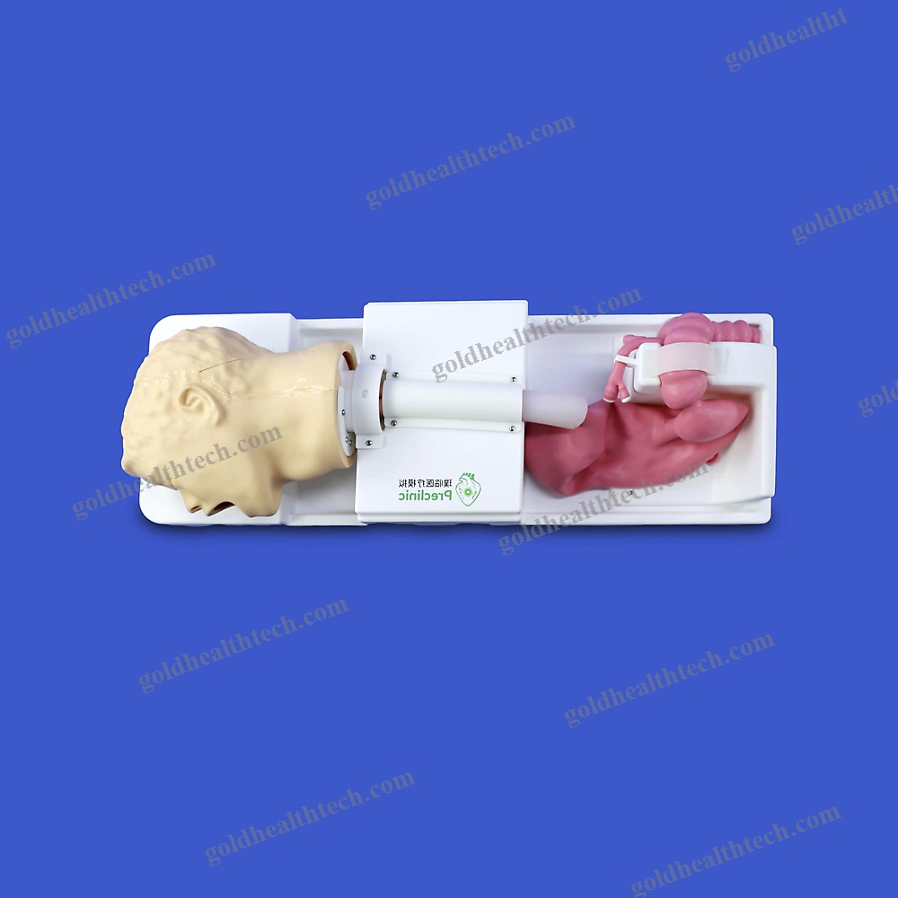 Digestive Endoscopy Simulator