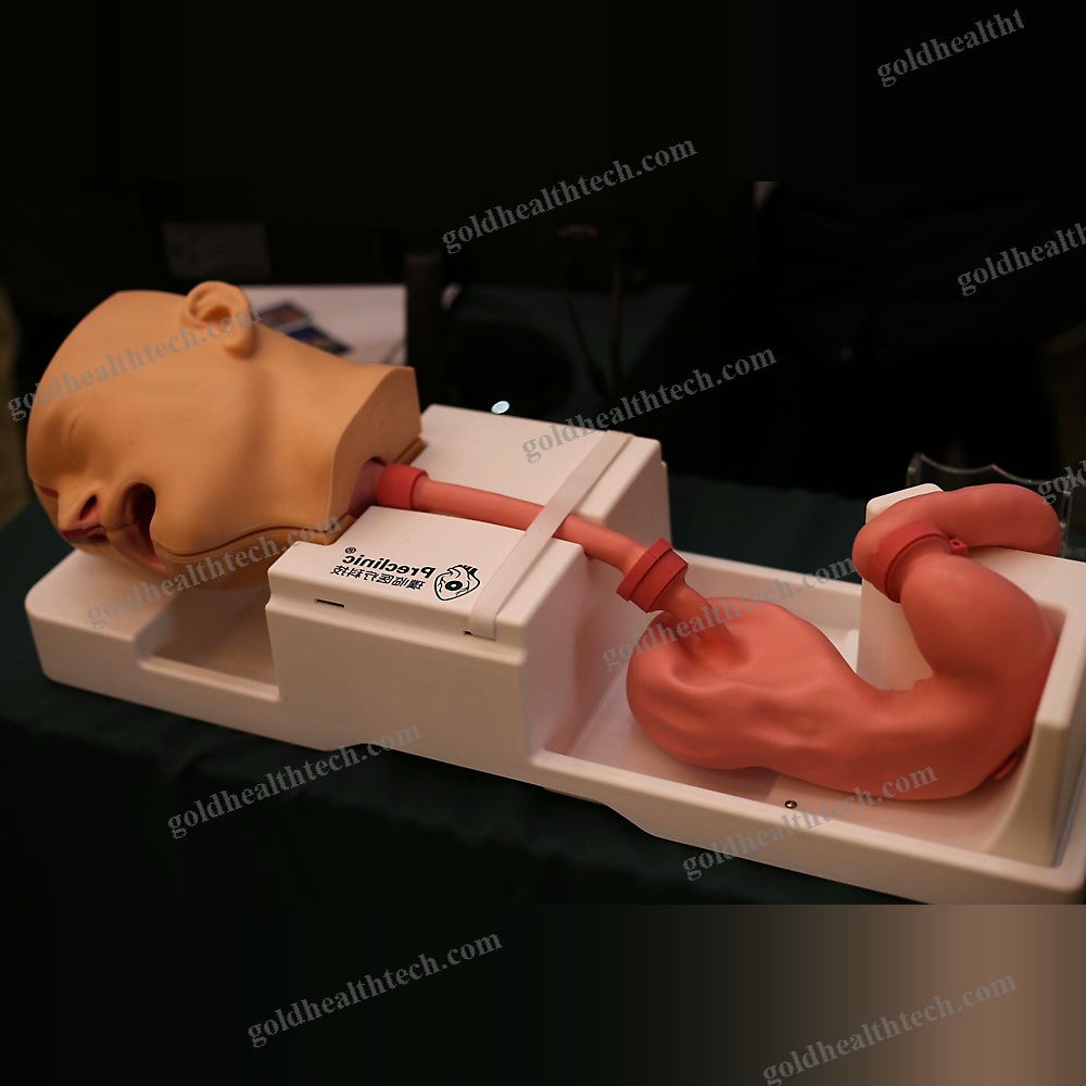 Digestive Endoscopy Simulator