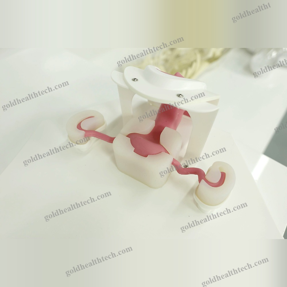 Hysteroscopy Simulator