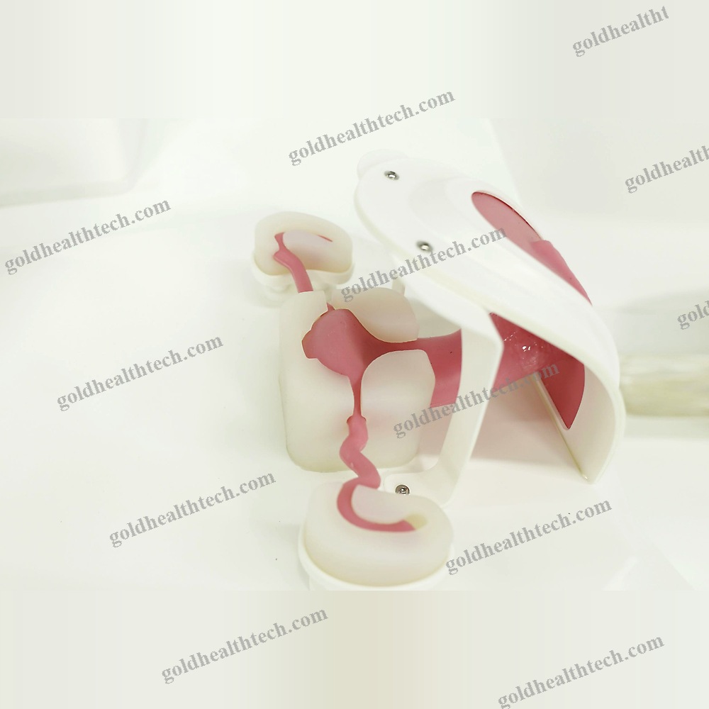 Hysteroscopy Simulator