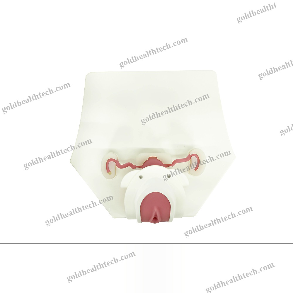 Hysteroscopy Simulator