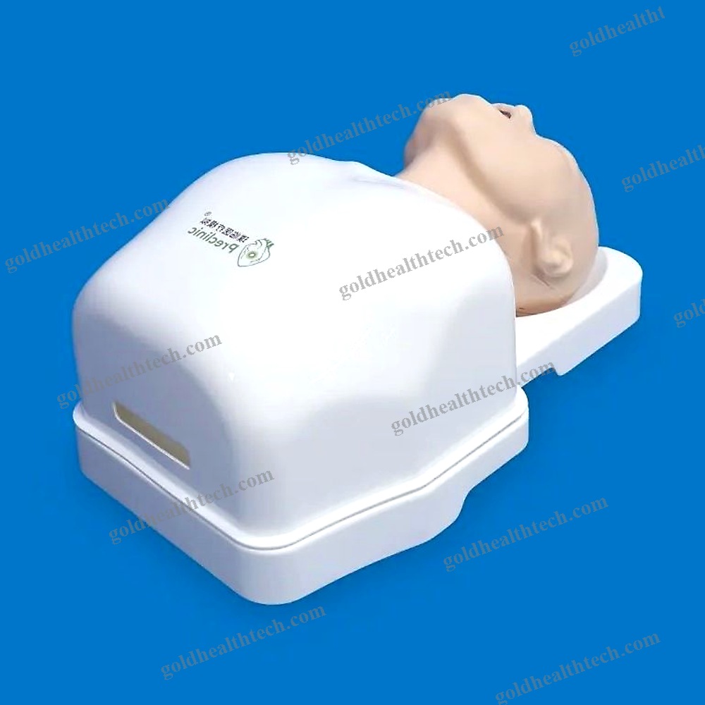 Lung Model