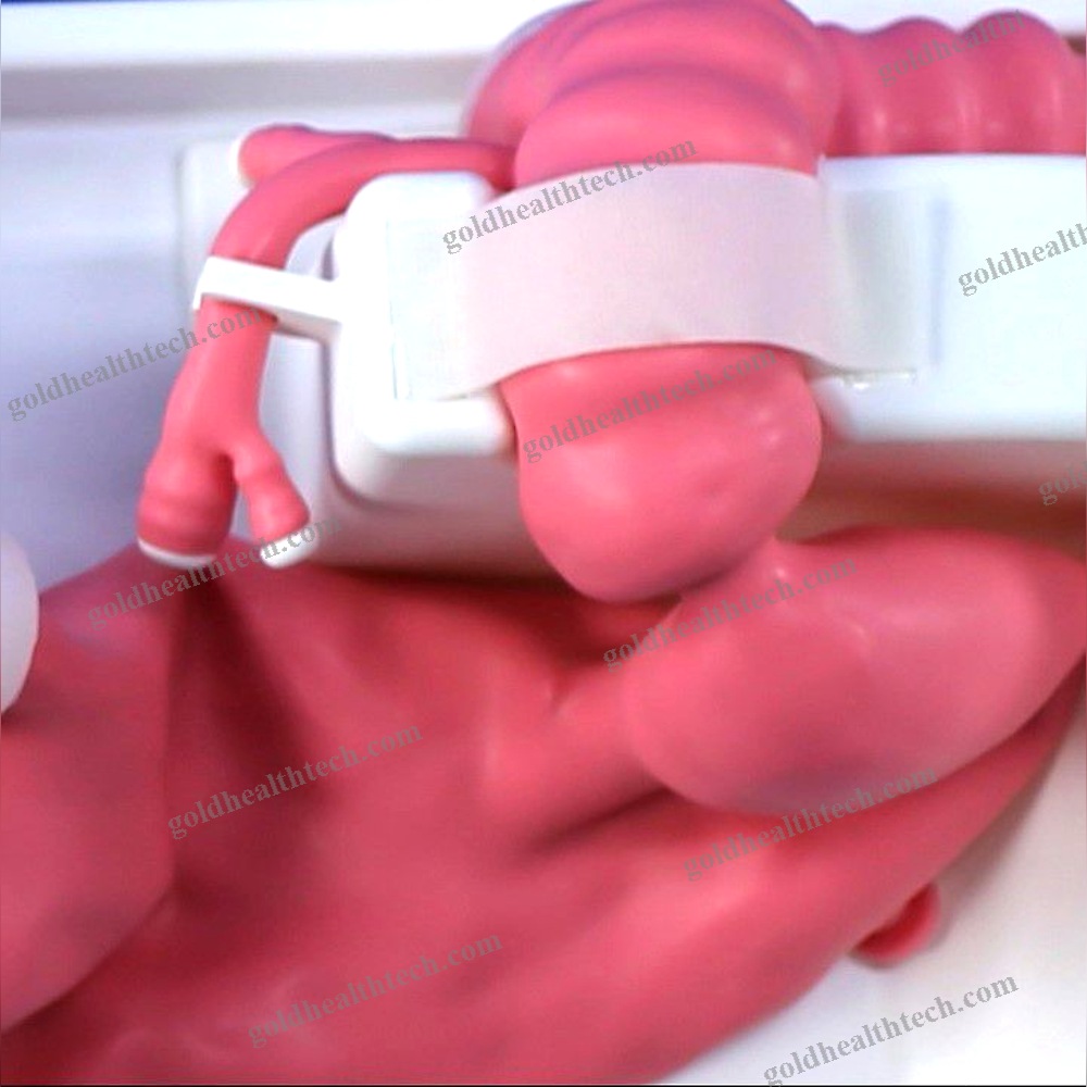 Digestive Endoscopy Simulator