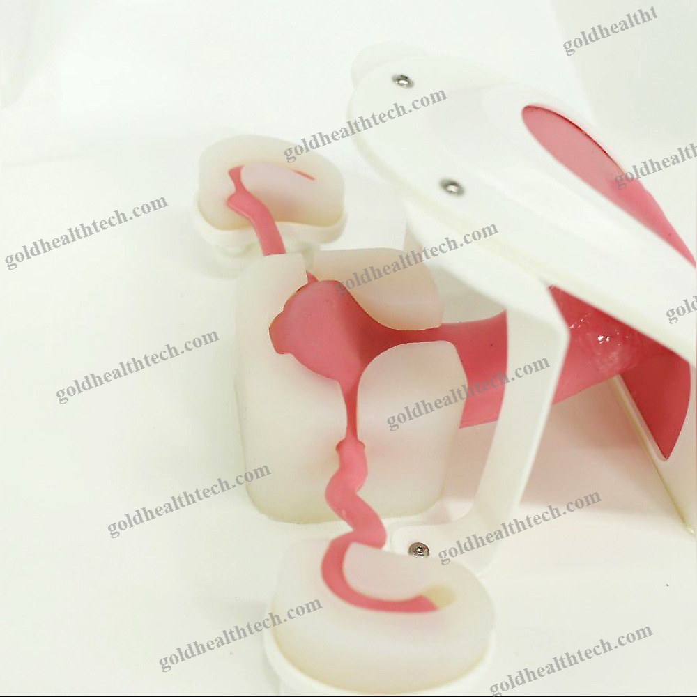 Hysteroscopy Simulator