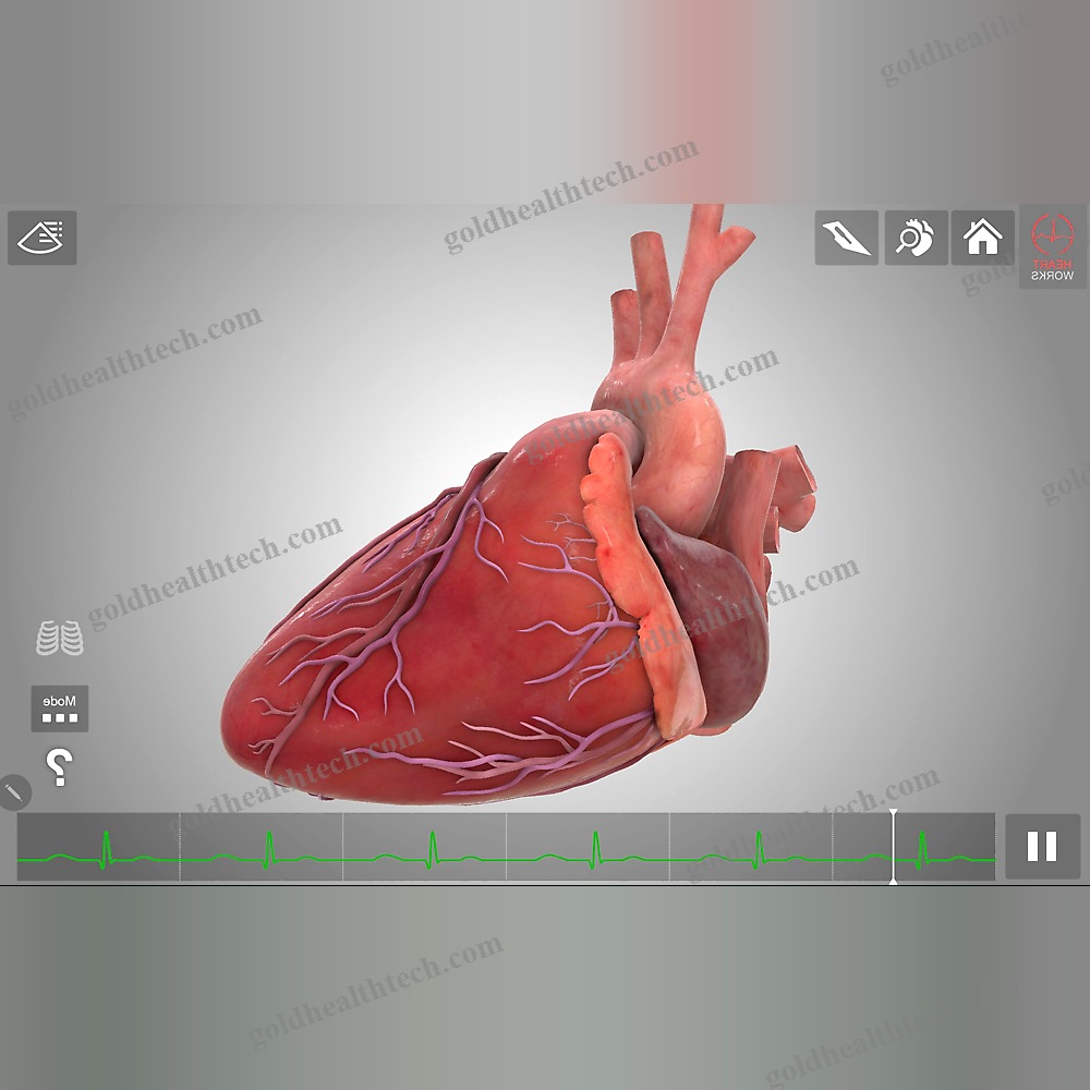 Training Simulator