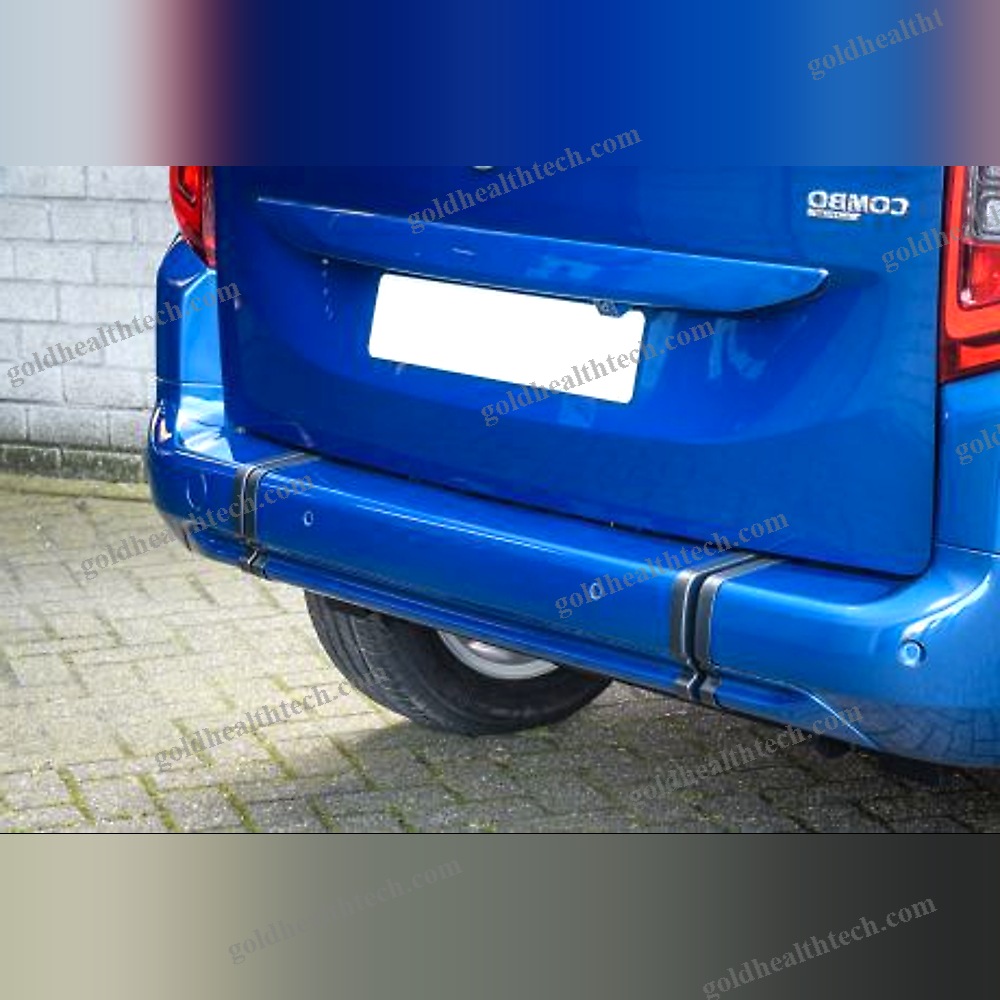Minivan Wheelchair Accessible Vehicle