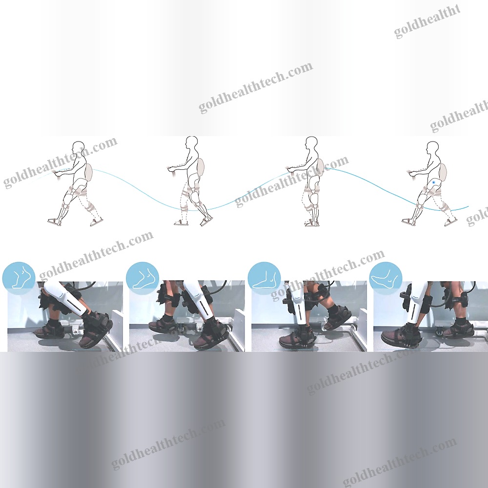 Dual-Leg Rehabilitation Exoskeleton