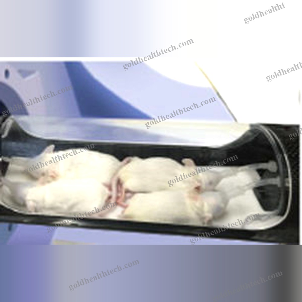 Pet Preclinical Imaging System