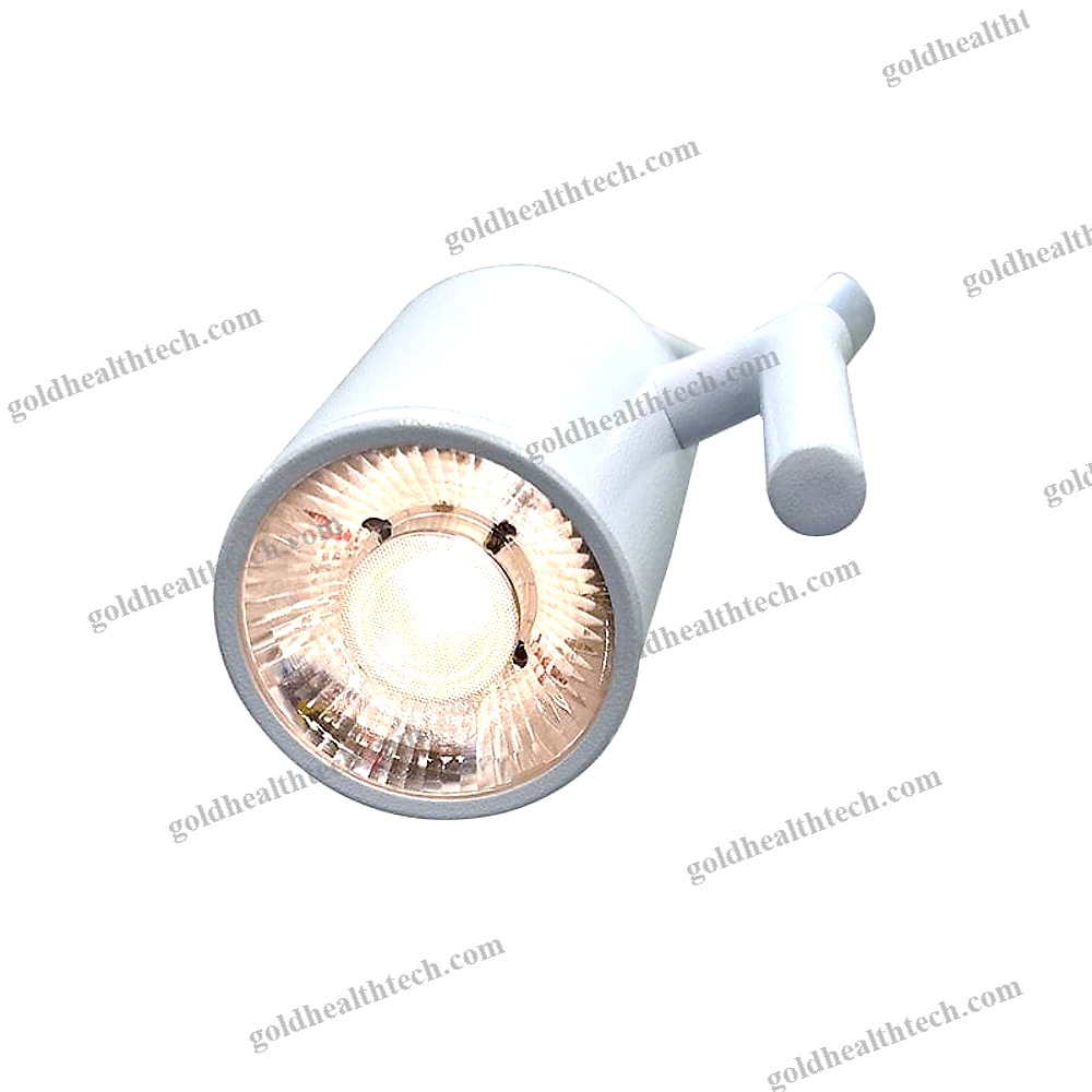 Veterinary Examination Light
