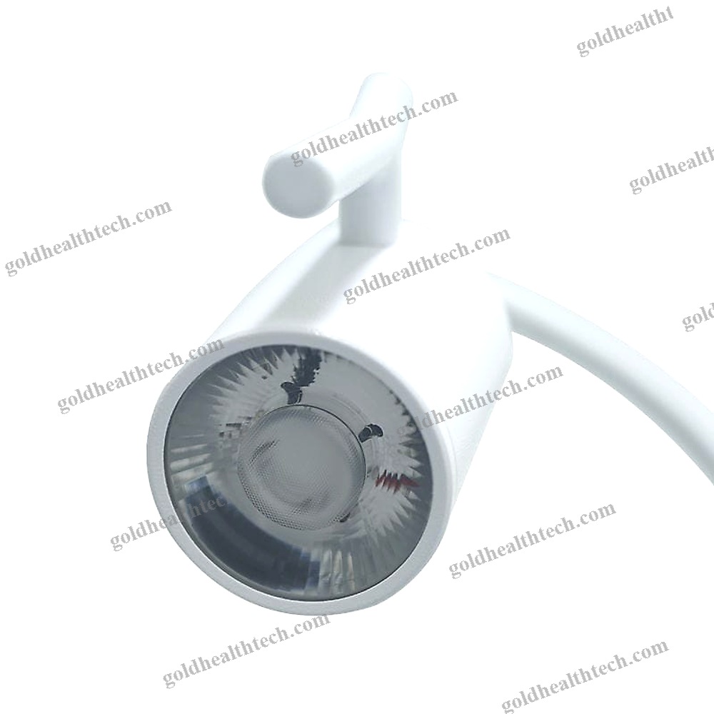 Veterinary Examination Light