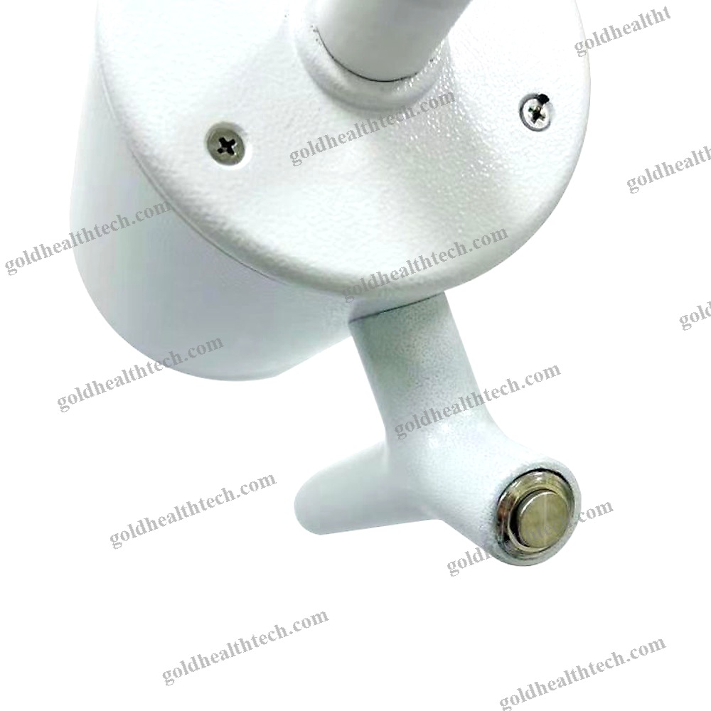 Veterinary Examination Light