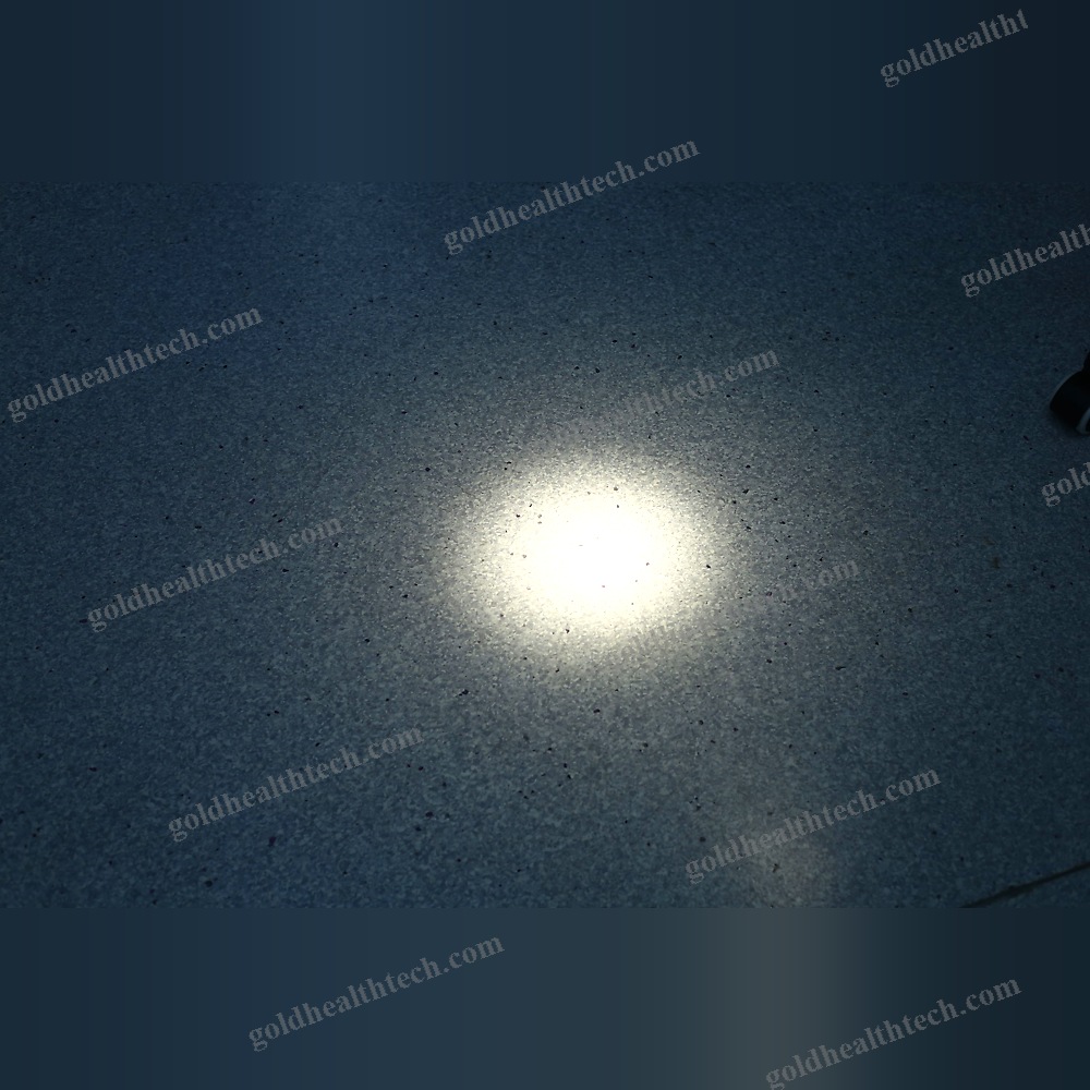 Veterinary Examination Light