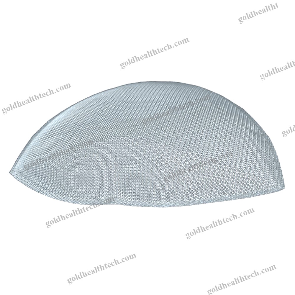 Inguinal Hernia Prosthesis
