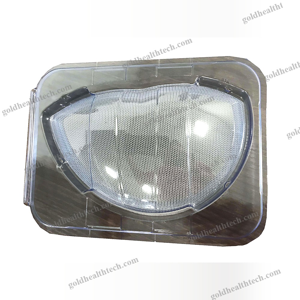 Inguinal Hernia Prosthesis