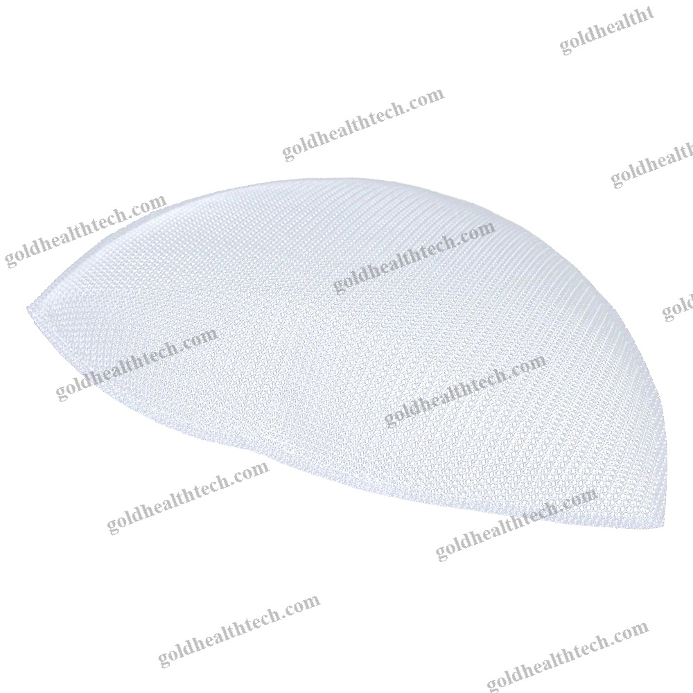 Inguinal Hernia Prosthesis