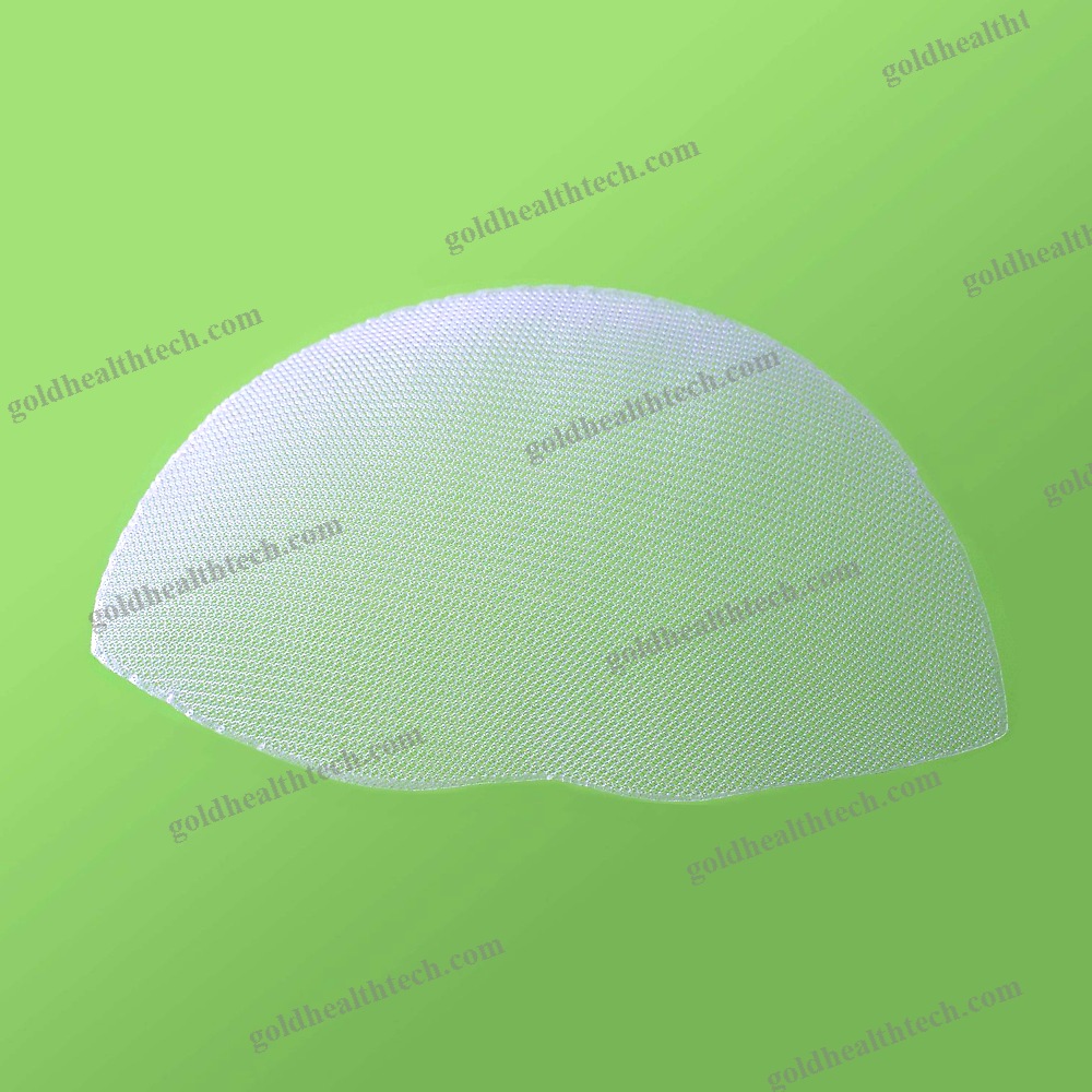 Inguinal Hernia Prosthesis
