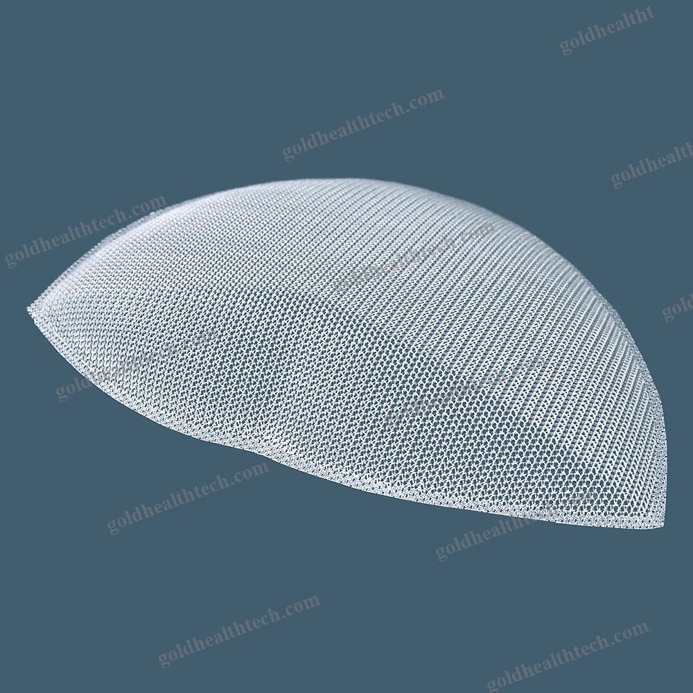 Inguinal Hernia Prosthesis