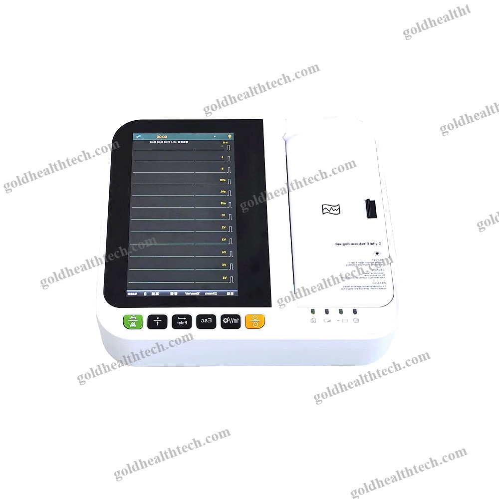 12-Channel Veterinary Ecg System