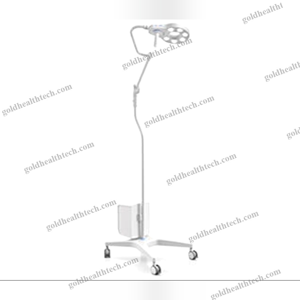 Veterinary Examination Light