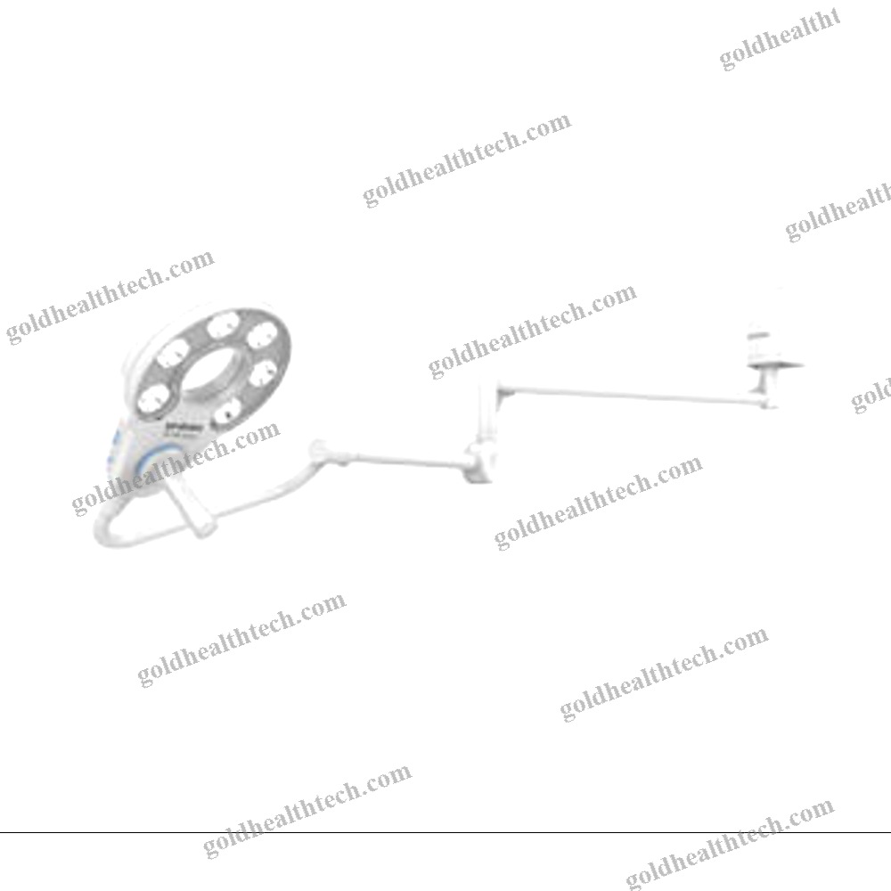 Veterinary Examination Light