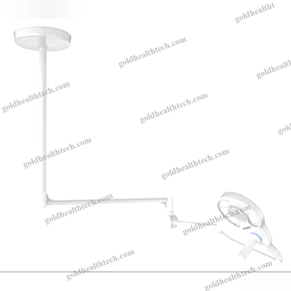 Veterinary Examination Light