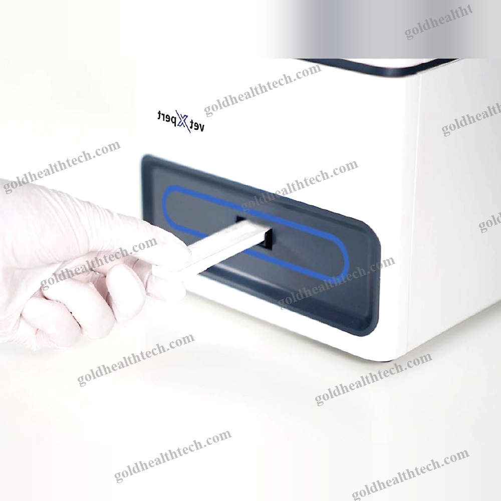 Automatic Immunoassay Analyzer