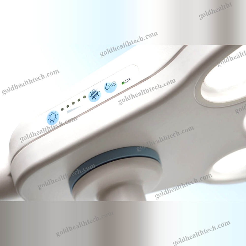Veterinary Examination Light