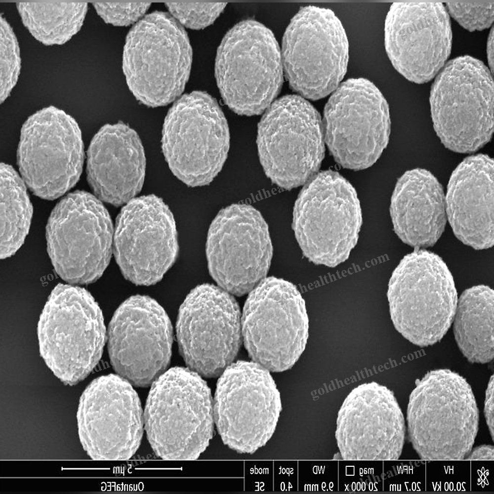 Magnetic Bead-Based Reagent