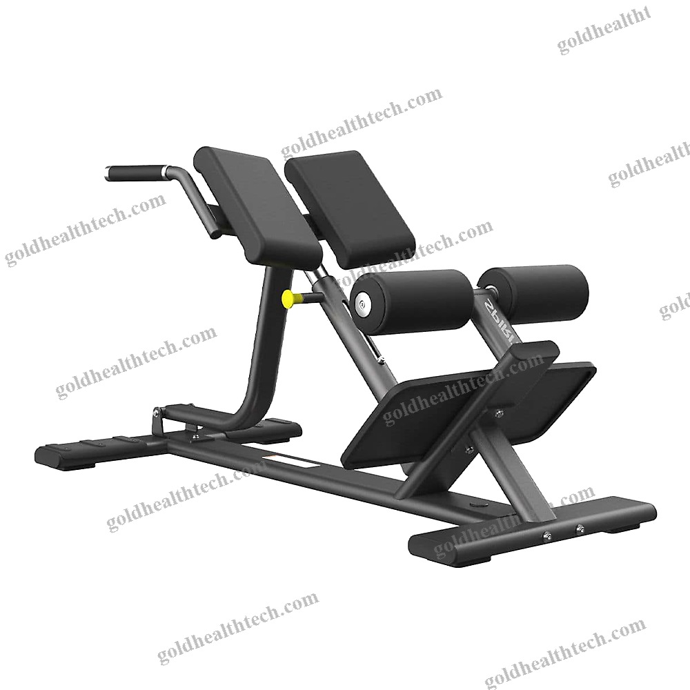 Lumbar Extension Weight Training Bench