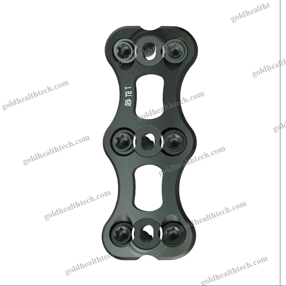 Cervical Arthrodesis Plate