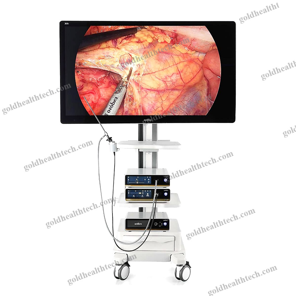 Endoscopy Video Processor