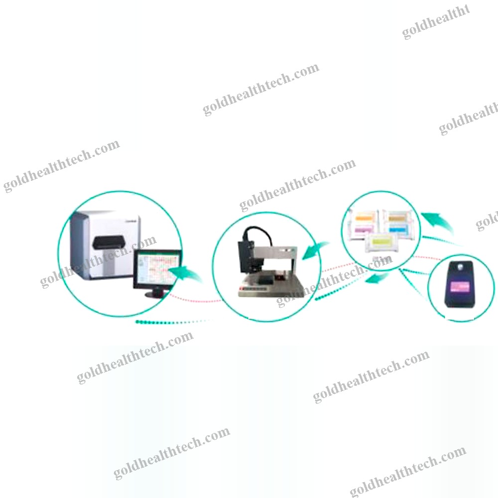 Maldi-Tof Bacterial Identification System