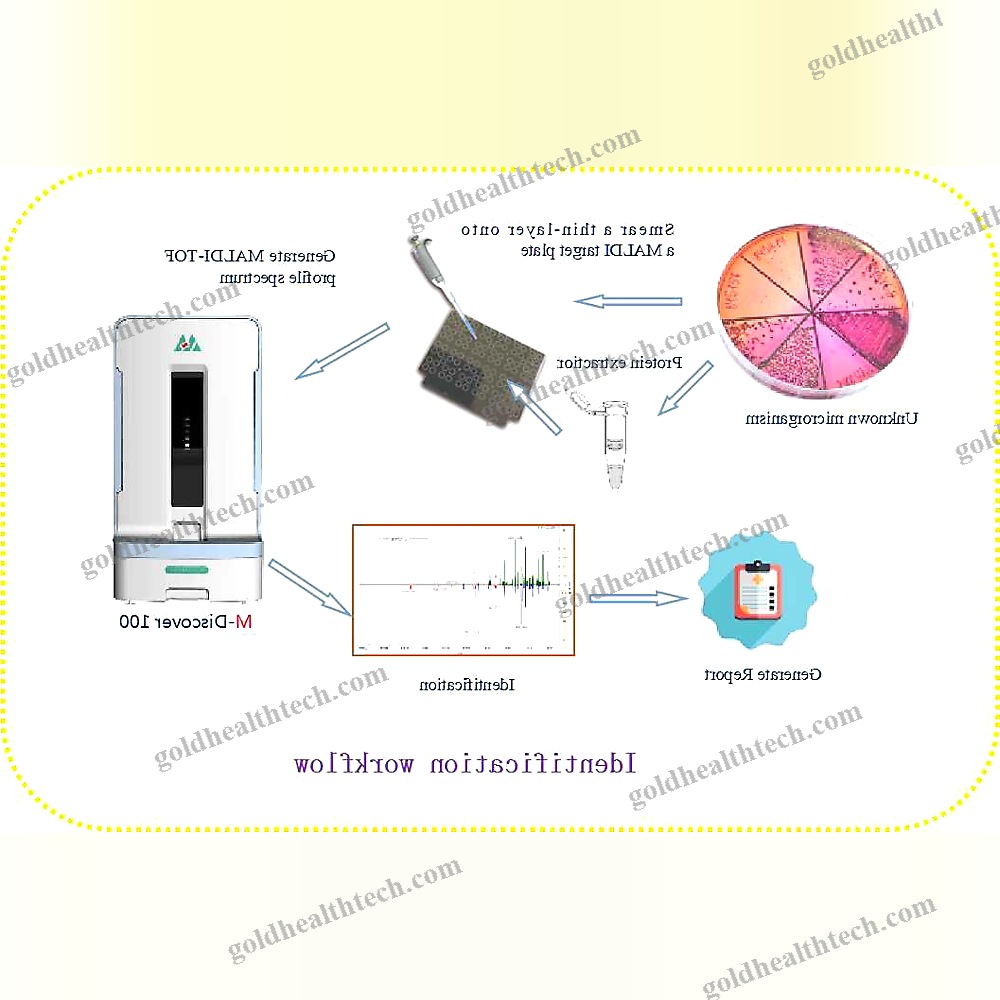 Maldi-Tof Bacterial Identification System