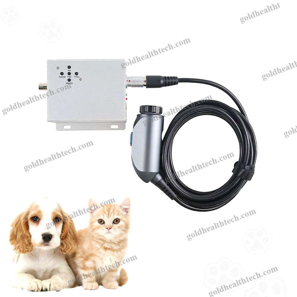 Endoscope Camera