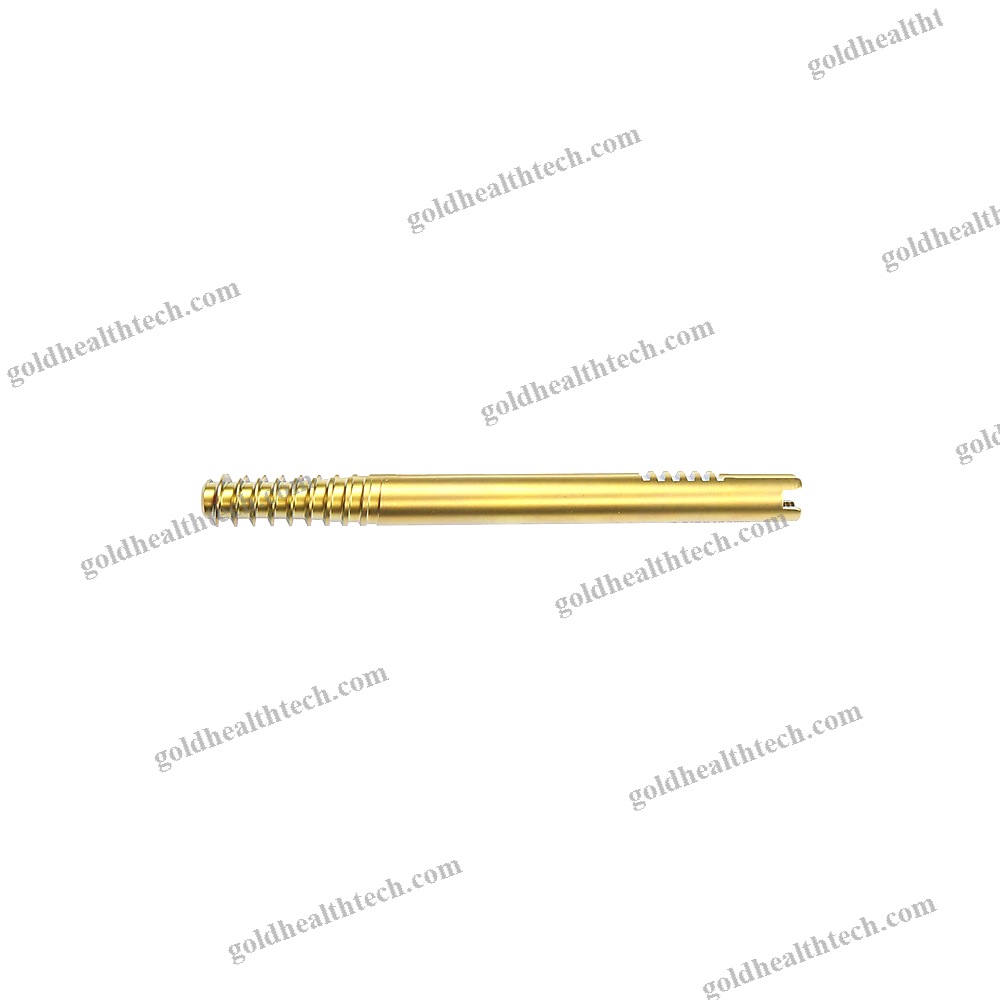 Femoral Intramedullary Nail