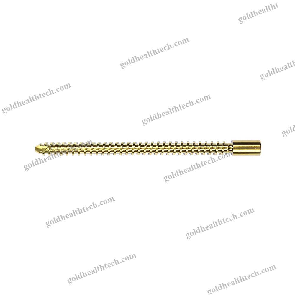 Femoral Intramedullary Nail