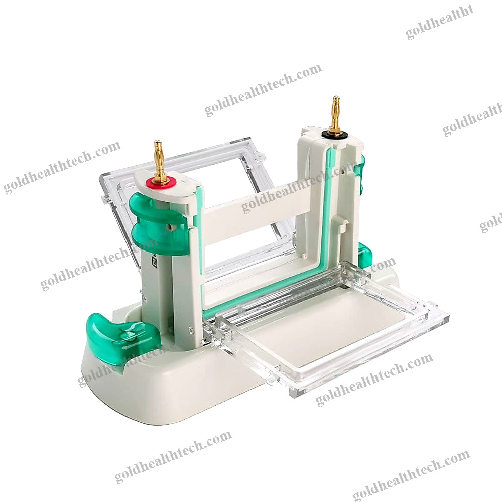 Dna Electrophoresis Tank