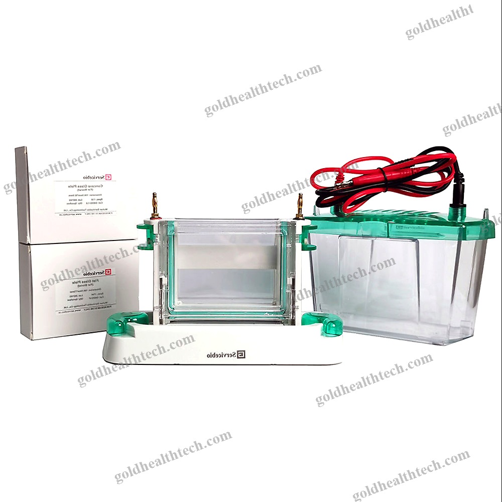 Dna Electrophoresis Tank