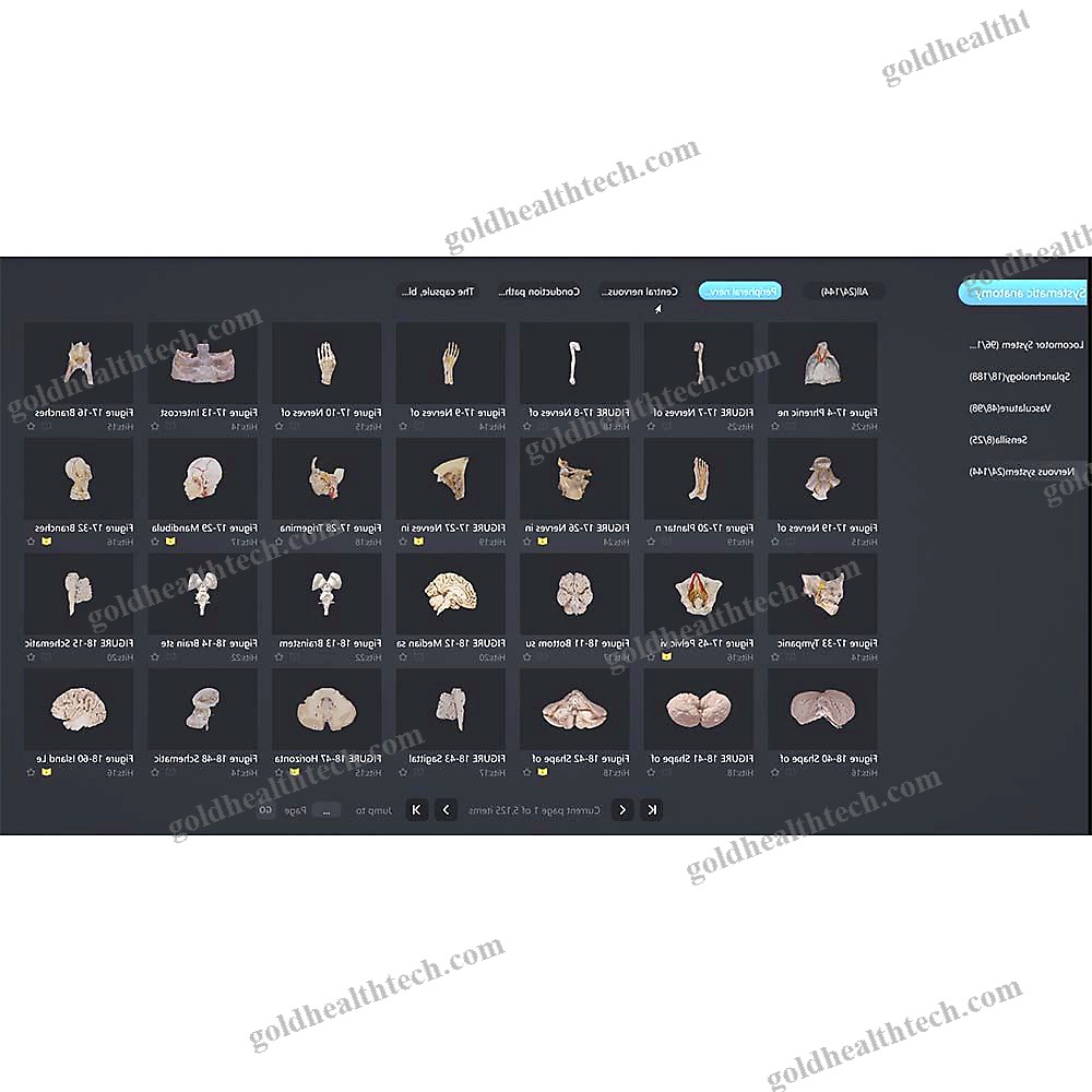 Medical Software