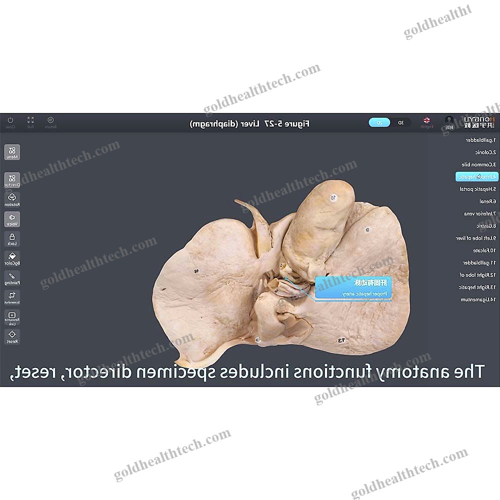 Medical Software
