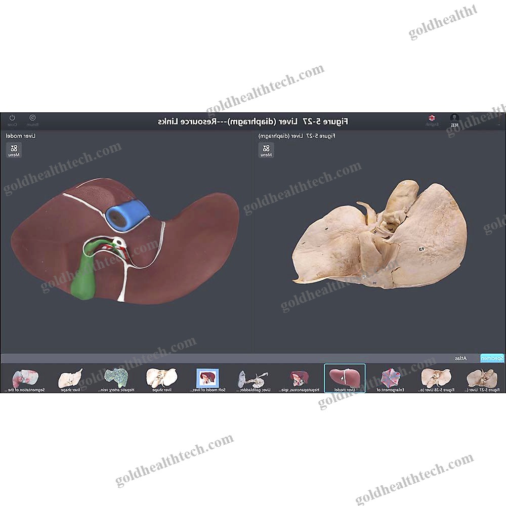 Medical Software