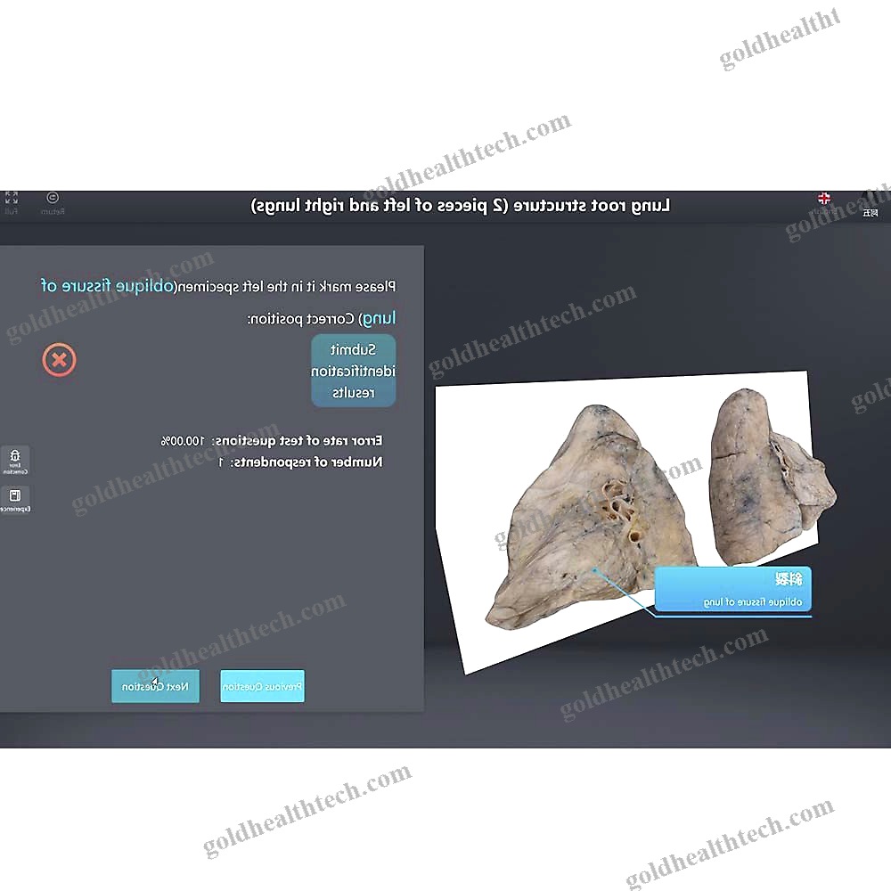 Medical Software