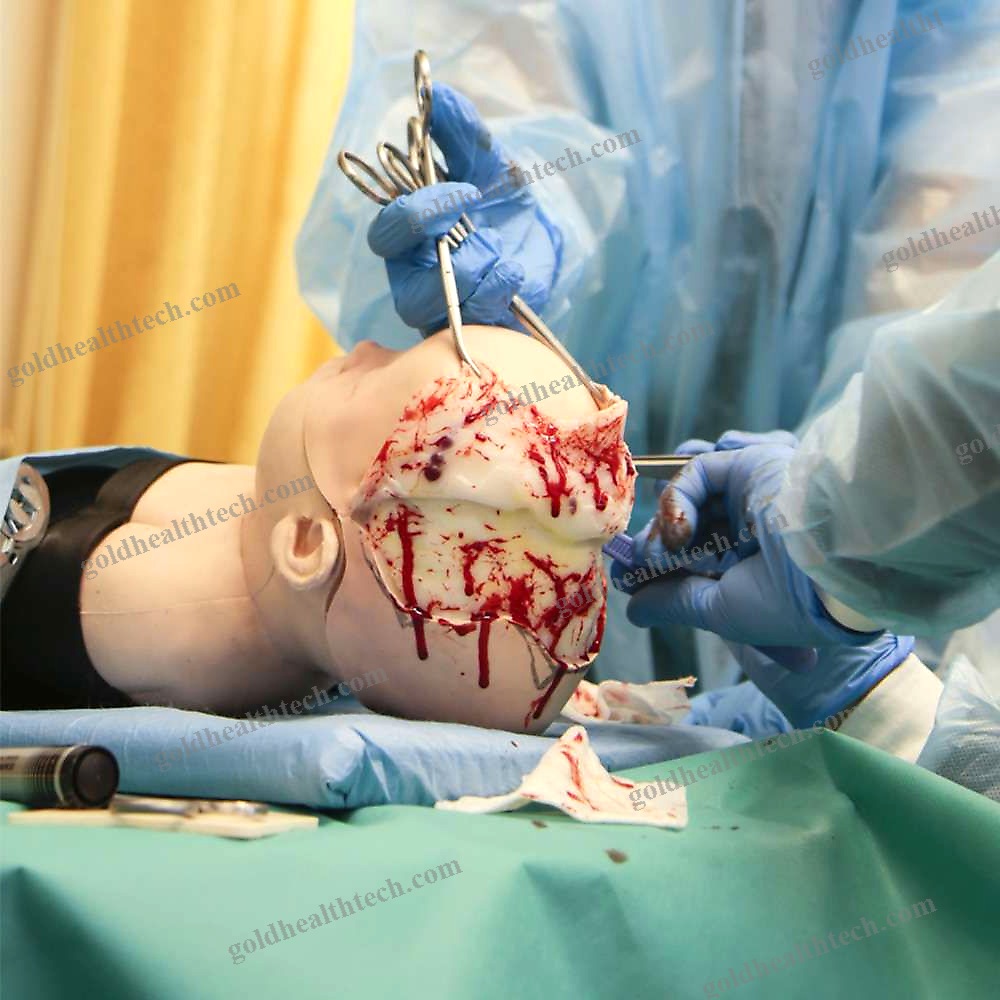 Craniotomy Simulator
