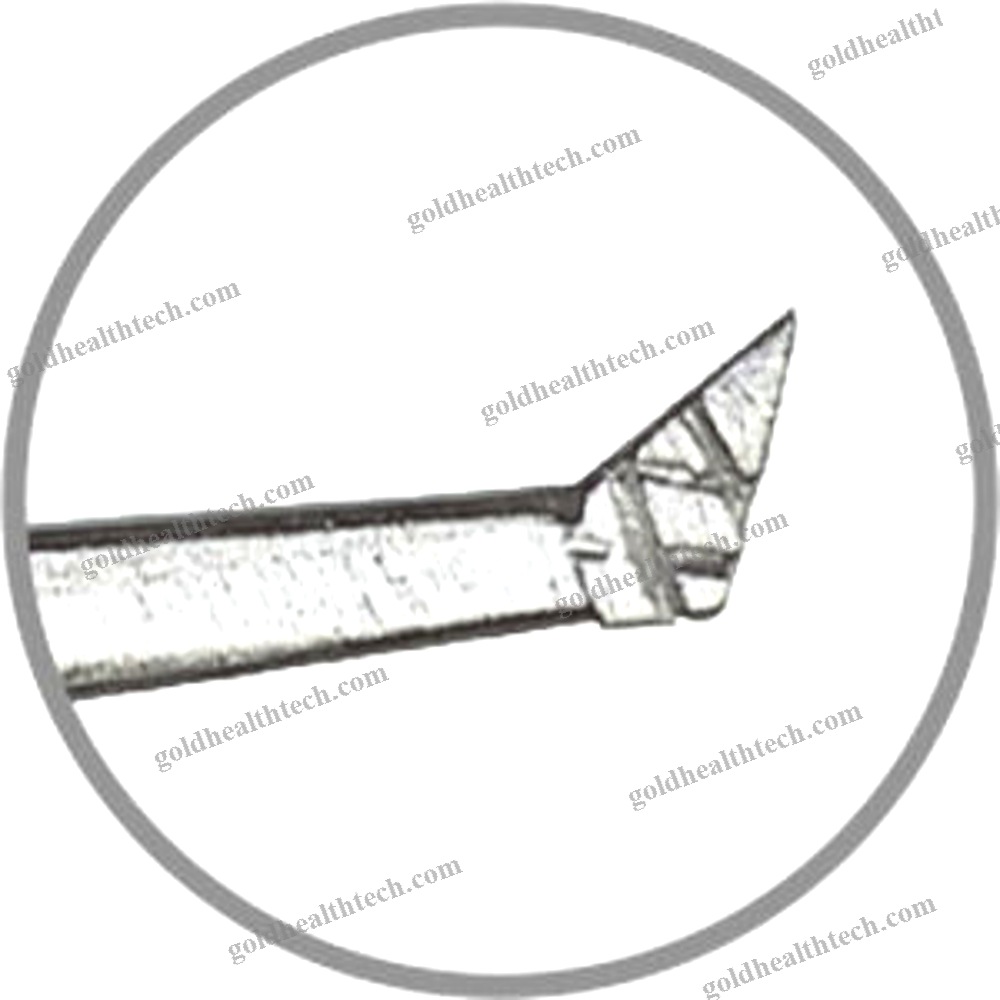Ophthalmology Forceps